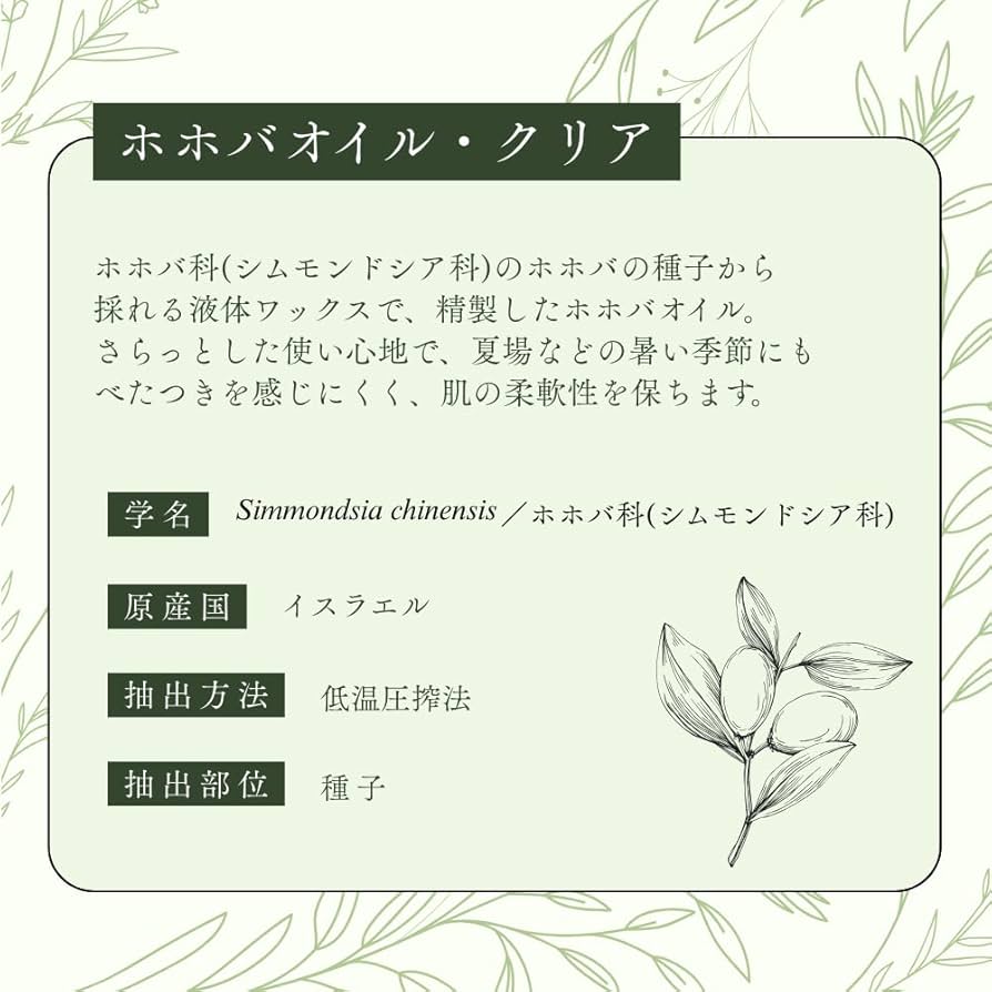 生活の木　ホホバオイル　精製クリア1000ml 植物油(化粧用油) 楽天市場】生活の木 プラントオイル ホホバオイル クリア精製