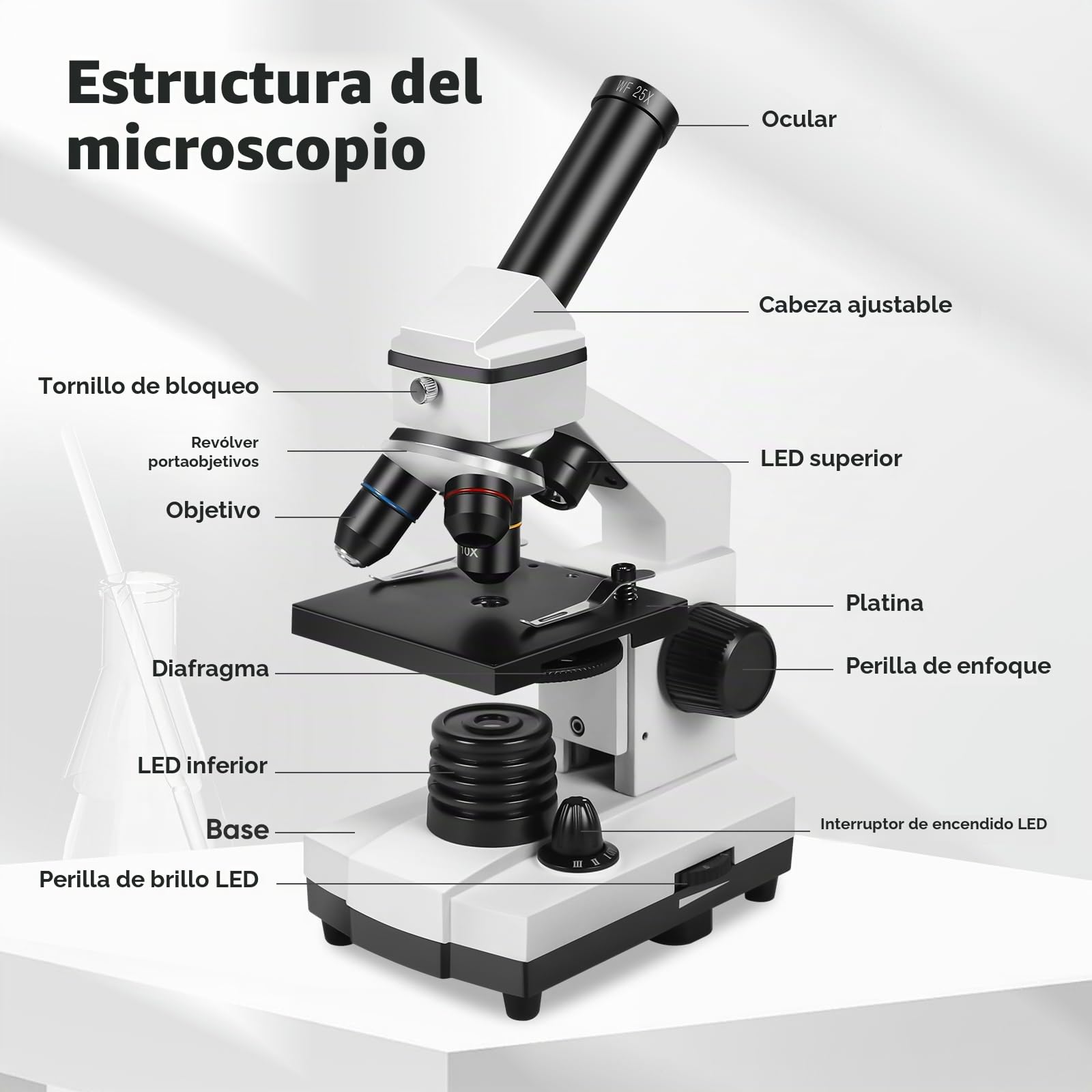 Microscopio profesional para adultos: microscopio compuesto para niños de 8 a 12, 100X-2000X, kit de microscopio para niños con diapositivas y cubiertas de microscopio preparadas, microscopios estéreo