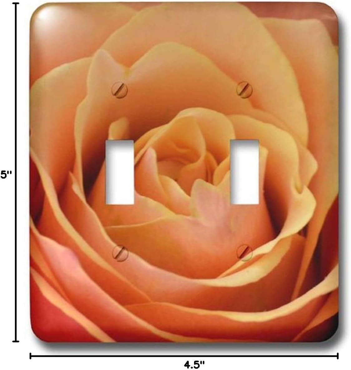 3dRose lsp_31363_2 Sweet Peach Rose Color Flowers Flower Photography - Double Toggle Switch