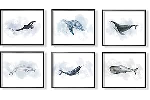 Coastal Canvas Wall Art Featuring Sea Life