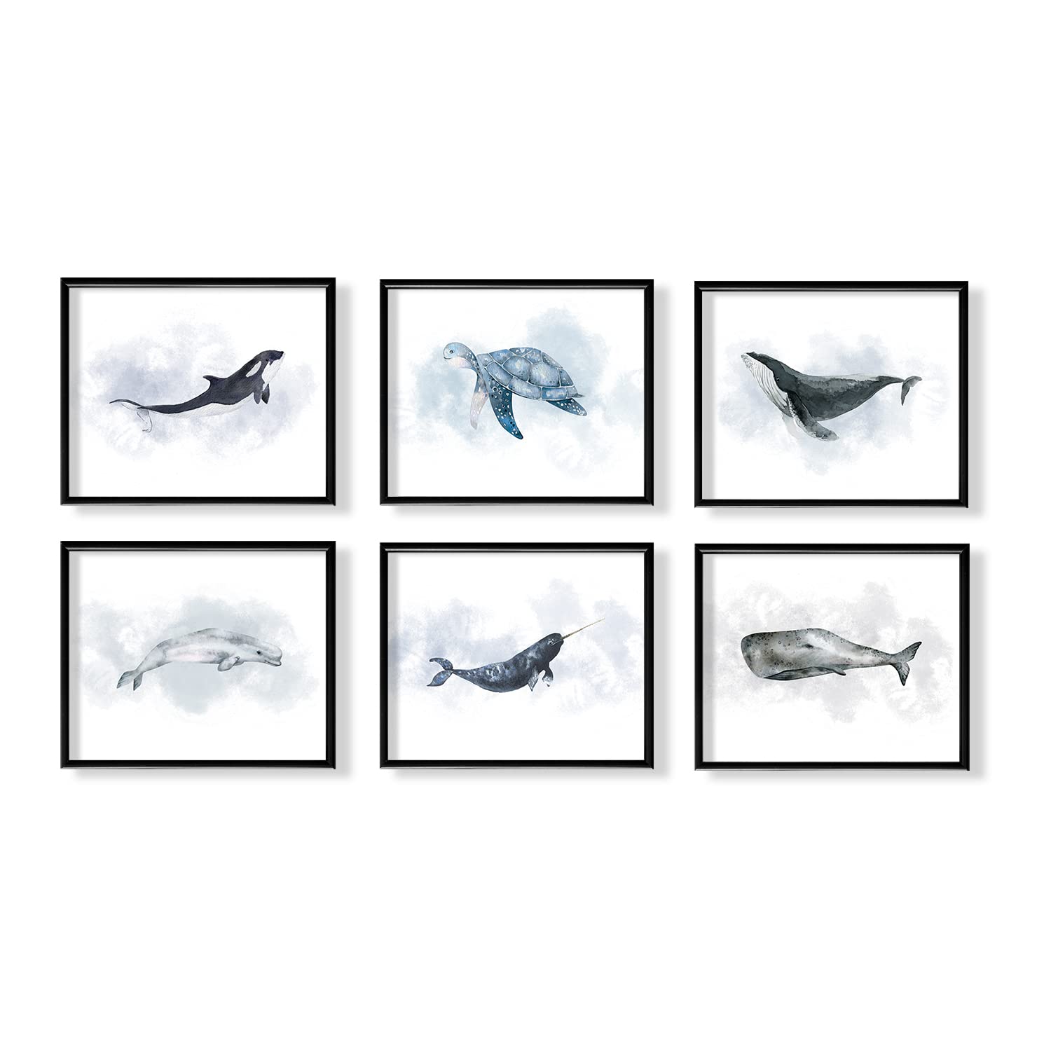 Watercolor Whale Dolphin Turtle Tortoise Posters Print - Modern Sealife Ocean Themed Light Blue Picture - Baby Teen Boy Girl Bedroom Art Wall Decor -