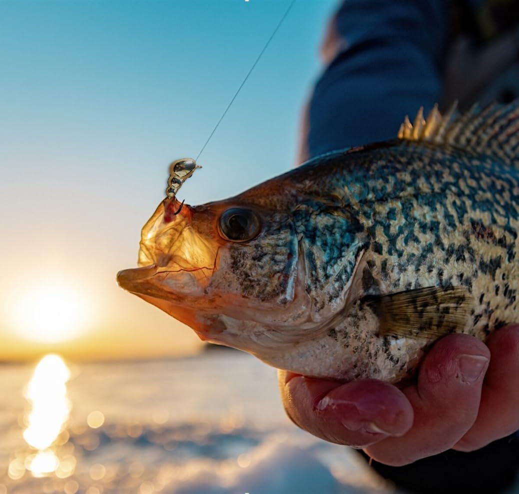 Tungsten Ice Fishing Jigs - Lucky 14 Pack Gold 4-6mm Free Tackle Box Case Included 1-2gm #8-10 Hook Lure Bait Walleye Crappie Panfish Trout