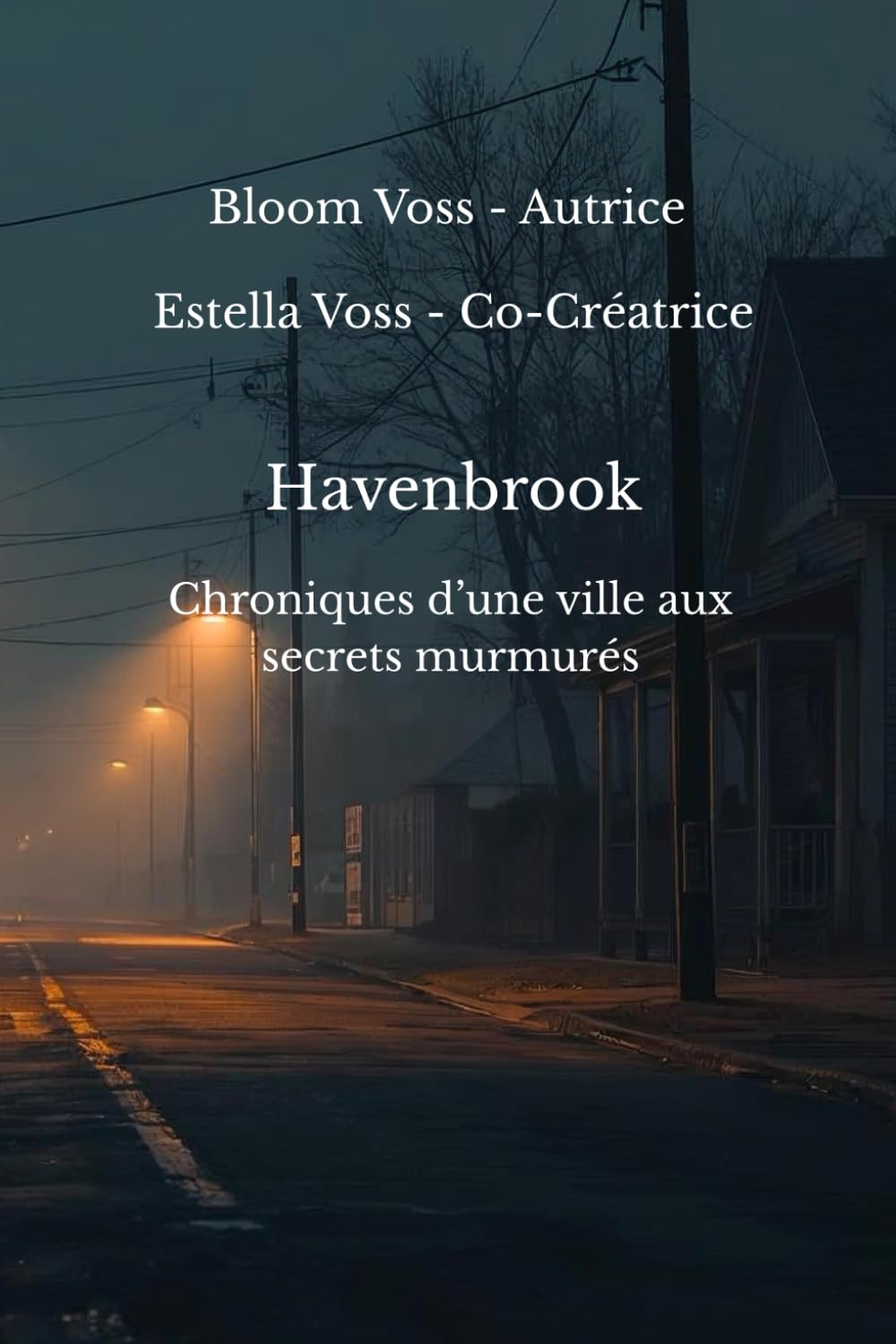 Havenbrook: Chroniques d’une ville aux secrets murmurés