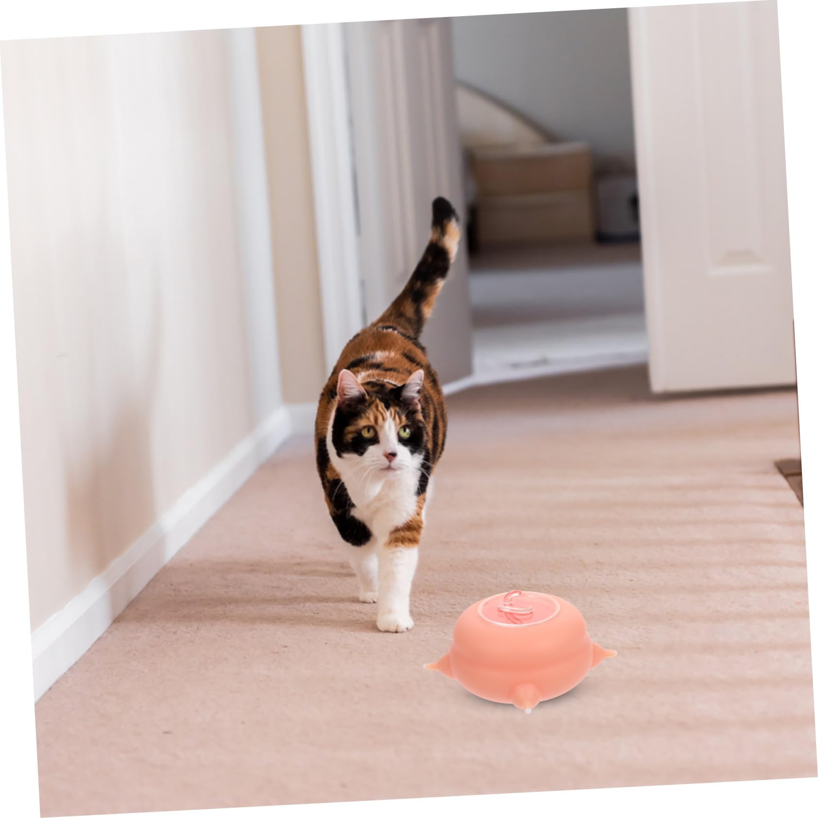 HANABASS Comedero para Cachorros y Gatitos de Silicona Fácil de Limpiar, Herramienta de Alimentación para Mascotas Pequeñas y Recién Nacidas, Accesorio Seguro y para Lactancia