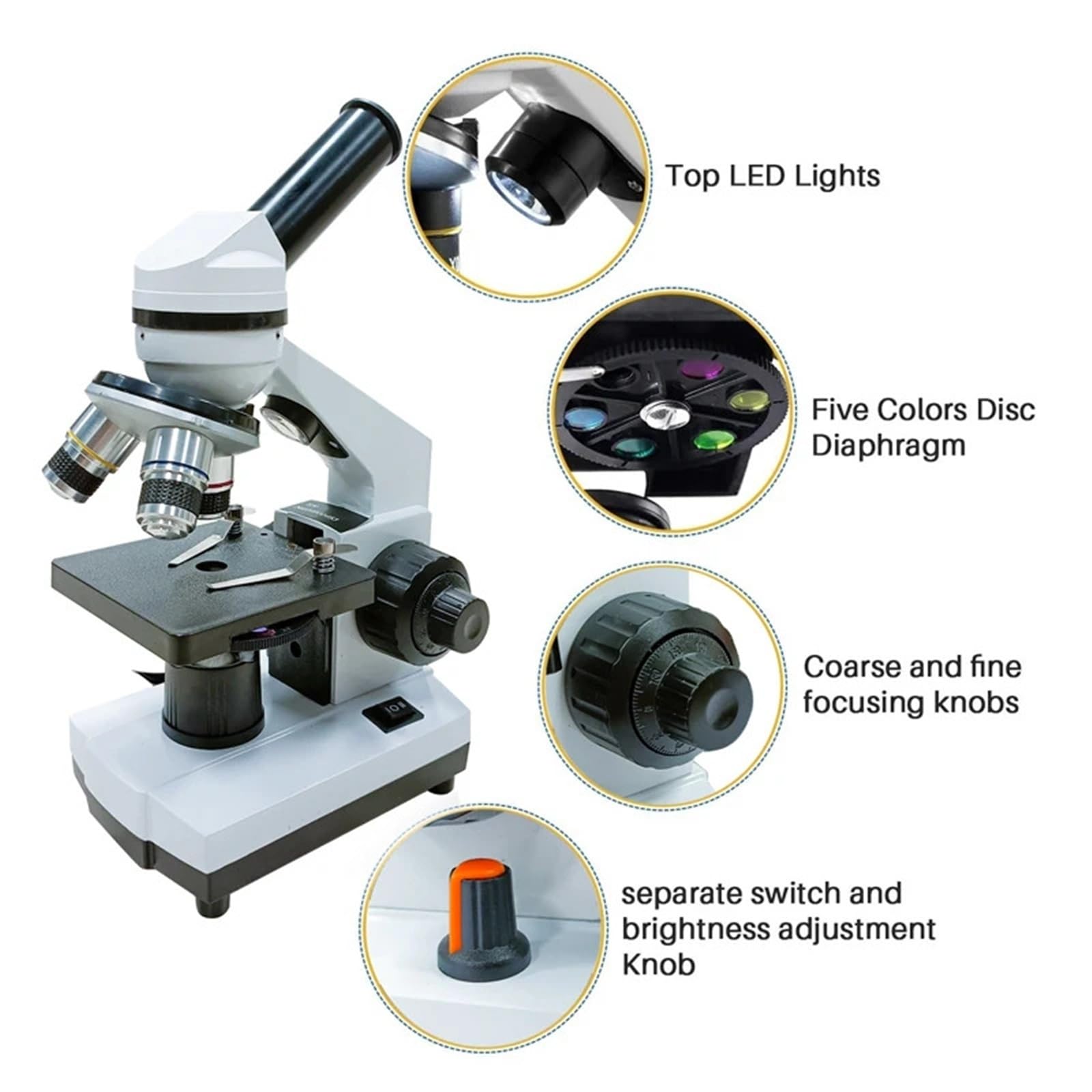 Microscopio Microscopios biológicos 100X-1600X, compuestos con portaobjetos y adaptador de teléfono for niños, estudiantes laboratorios