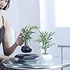 Product Photo 7