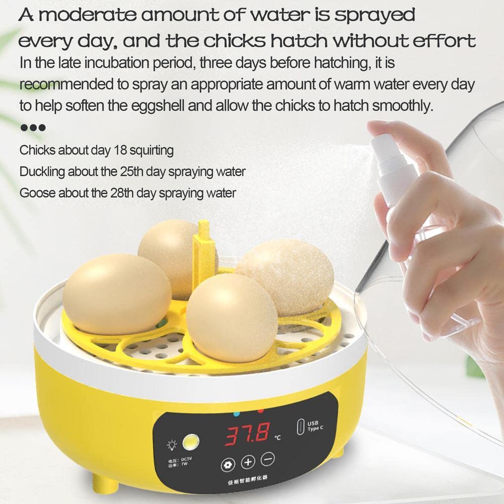 1583 Circulated Air Picture Window Hova-Bator Only