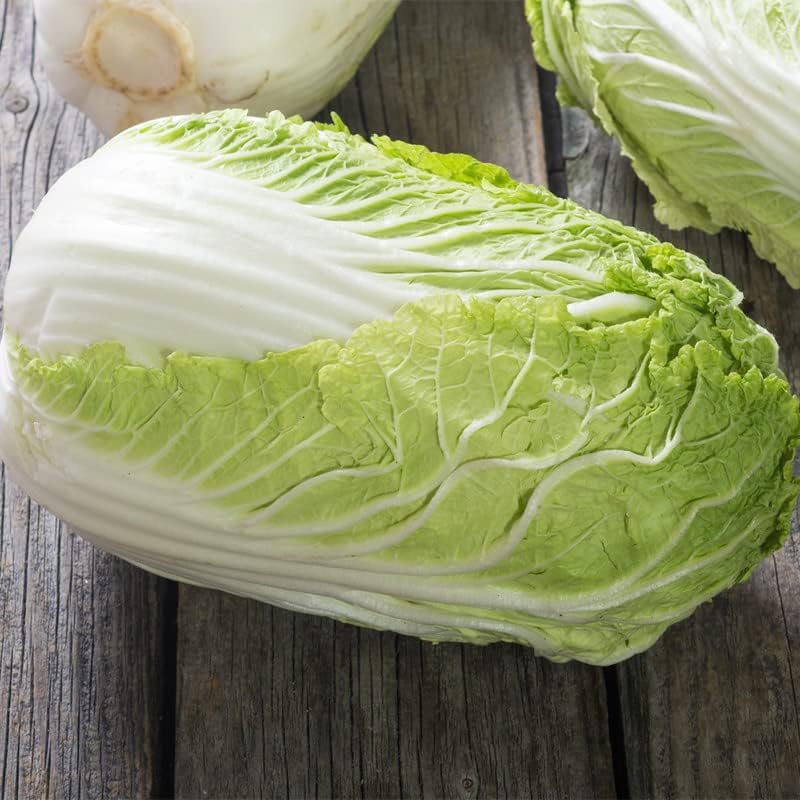 Miniatura 4 de Col China-MichihiliCol Napa (500 semillas)