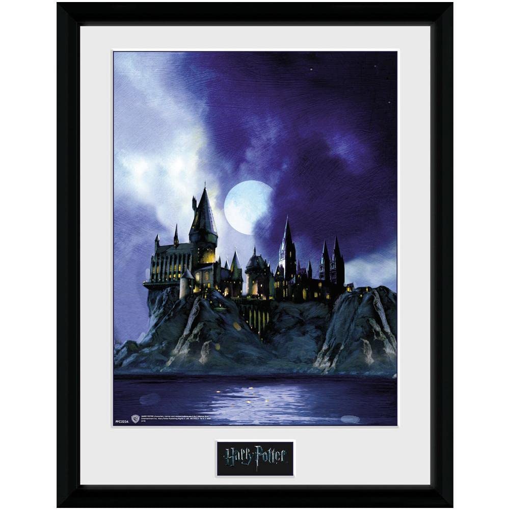 GB eye Harry Potter Hogwarts Painted 30 x 40cm Framed Collector Print