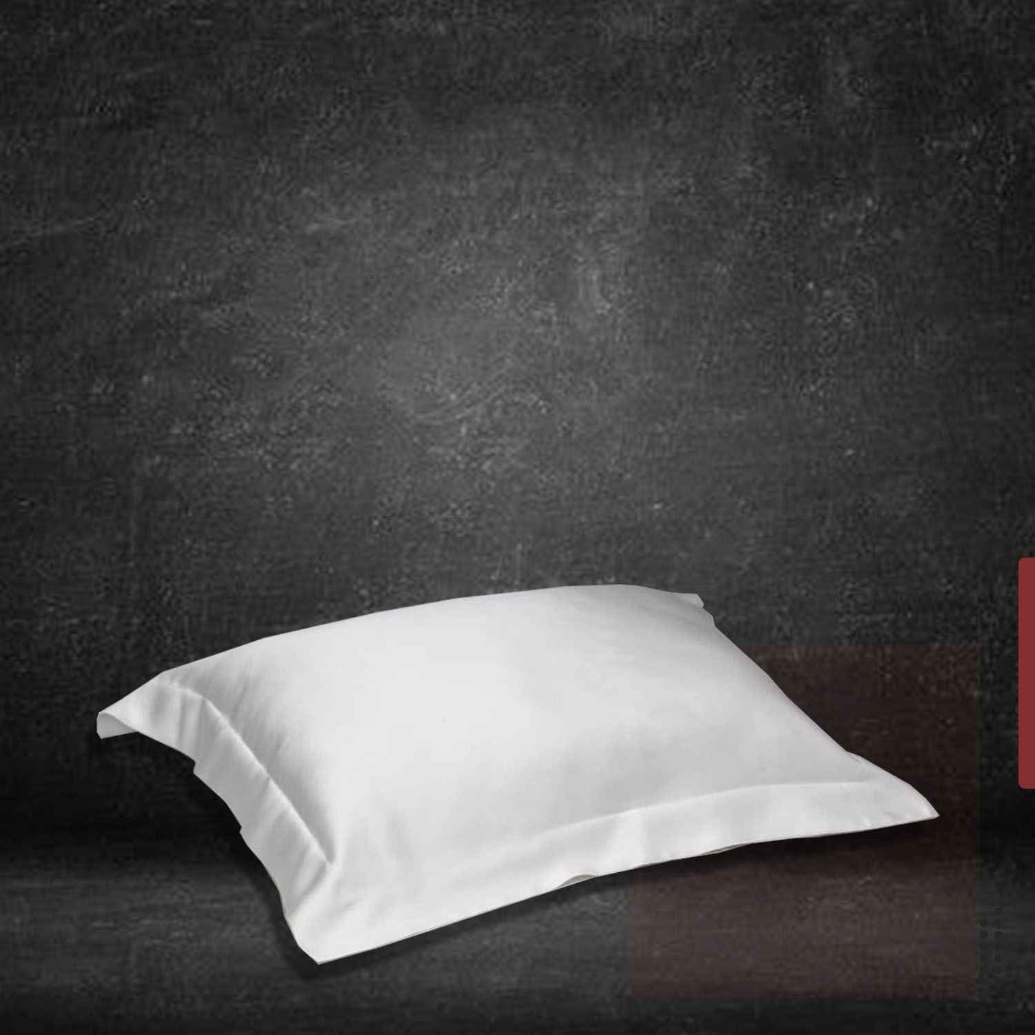400 Thread Count Egyptian Cotton Pillow Cases 2 Pack, Plain Square Oxford Pillow Cover Cotton, Envelope Clouser Pillow Protectors, 50x75 Cm, White