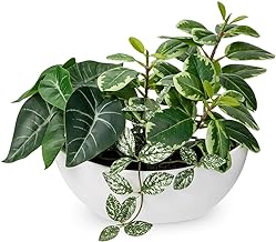 Hollyone 30CM Mixed Artificial Plants in White Pot, Decorative Fake Plants with Boat Pot, Faux Plants Indoor for Home Decor, Bedroom, Bathroom, Kitchen, Bathroom, Shelf, Desk, Office Decorations