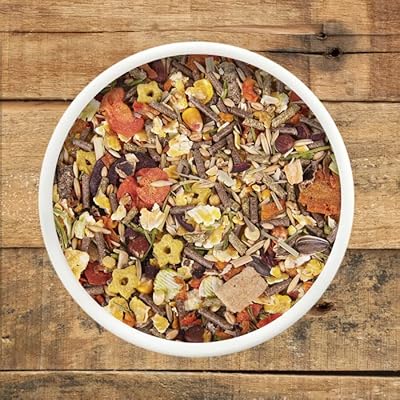 Feeds&Seeds Premium Hamster & Gerbil Food (2kg) | Suitable for Hamsters, Gerbil, Mouse & other Small Herbivores | Healthy Balanced Hamster Food Formula