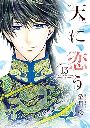 Amazon.co.jp: 天に恋う 13 (ミッシィコミックス/NextcomicsF) : 望月