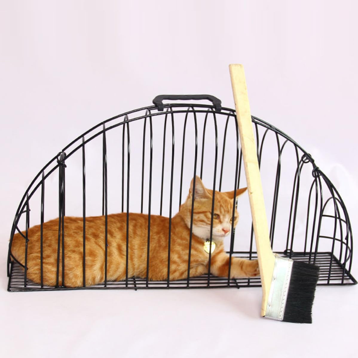 Gabbia da Bagno per Gatti in Metallo Nero, Leggera e Salvaspazio con Spazzola, per Toelettatura e Doccia dei Gattini in Casa