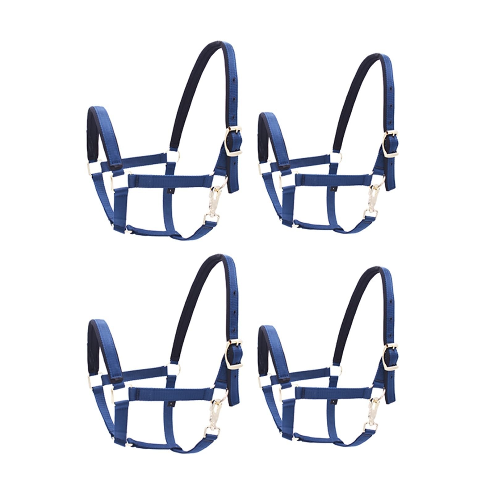 Halfter Für Pferde Nylonblaues, vierteiliges Reithalfter-Set(3.0M and 1L)