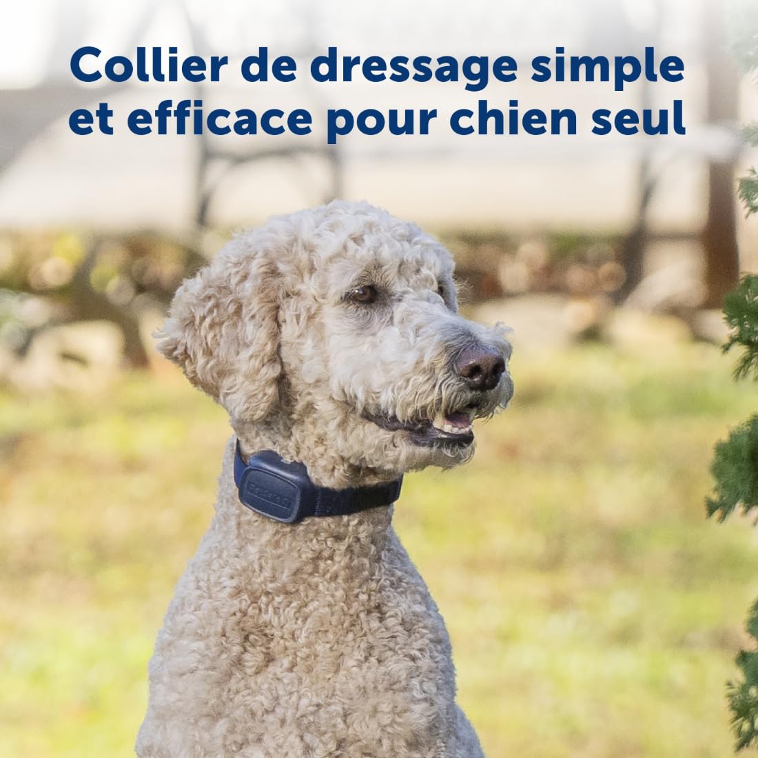 Dresseur de Chiens de Base PetSafe avec télécommande – Collier de Dressage étanche – 90 mètres de portée – Signal sonore, Vibration et 8 Niveaux de Stimulation Statique