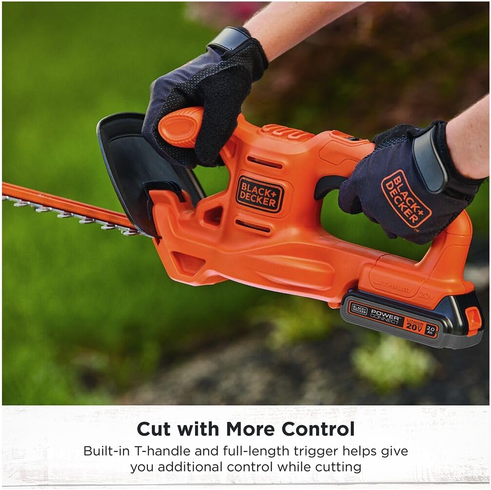 https://m.media-amazon.com/images/I/6178W8XM-ZL._AC_SL1500_.jpg