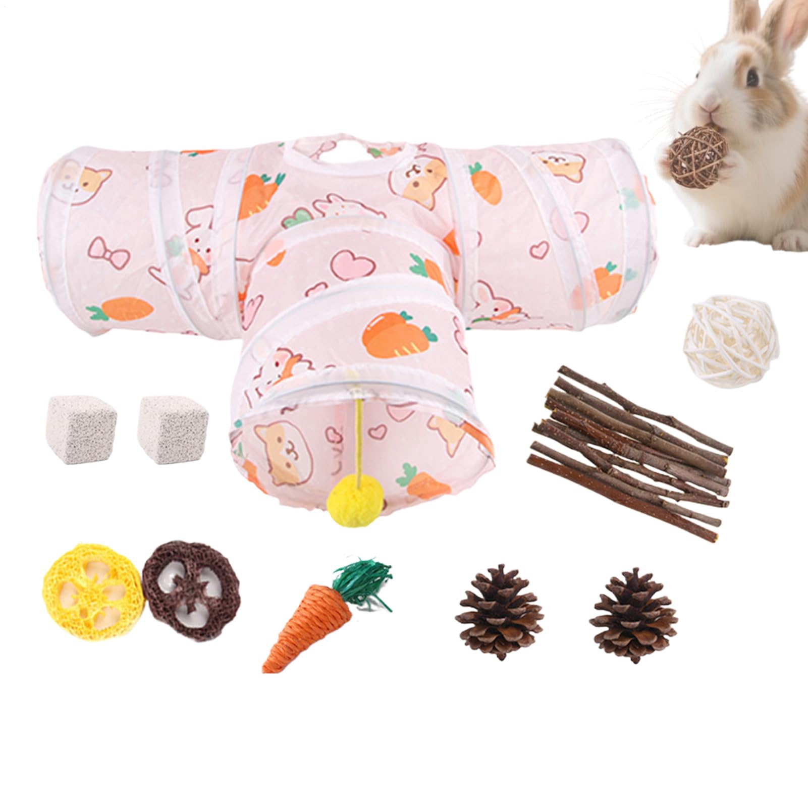 Tunnel pour petits animaux et espace de jeu interactif pour hamster heureux