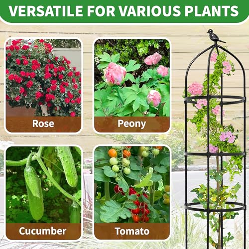 Rankhilfe Garten Obelisk 205x38cm, Höhenverstellbares Metall-Rankgitter mit schwarzer Kunststoffummantelung, Rostfeste Rosen Rankhilfe für Clematis, Gurken, Tomaten & alle Kletterpflanzen