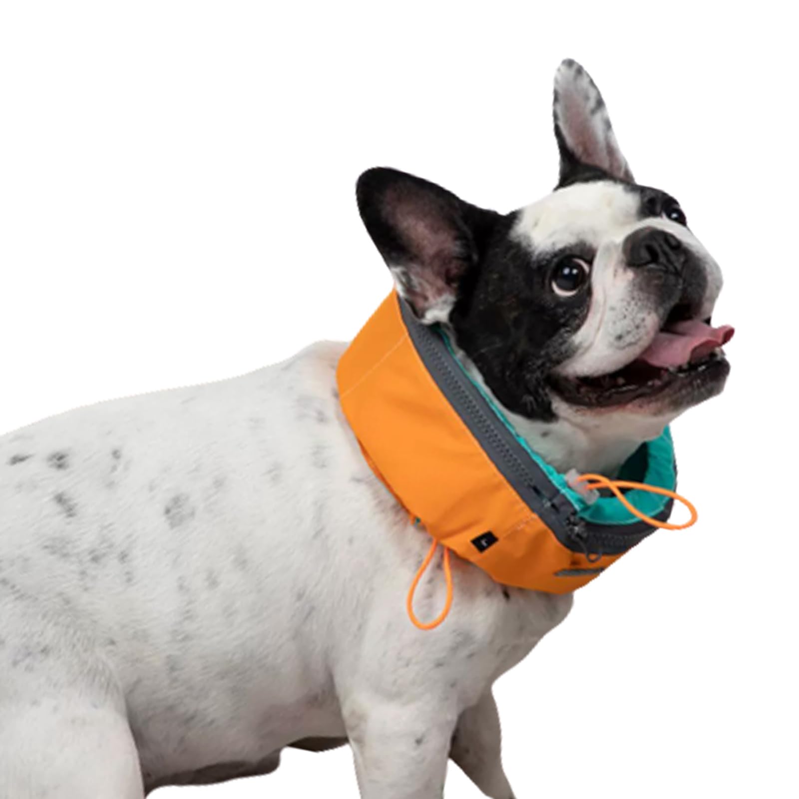 Amazon | RUUVIJPネッククーラー 犬 夏 クールネック クールバンダナ