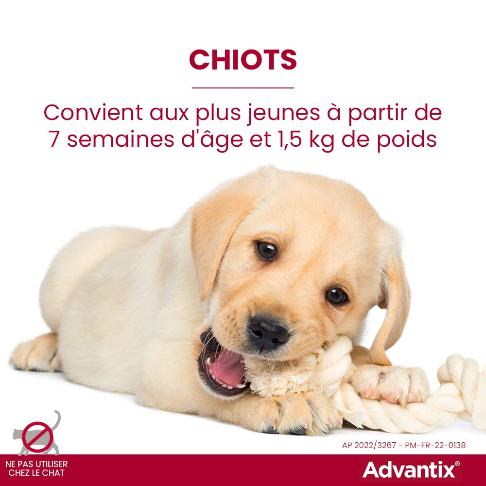 Advantix Mały pies o wadze od 4 do 10 kg – pipety dla 6 pasożytów – pipeta dla stałej ochrony przez 4 tygodnie – 6 x 1,0 ml