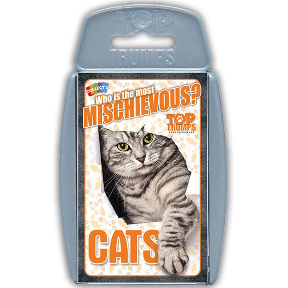 Cats - Who is the Most Mischievous?