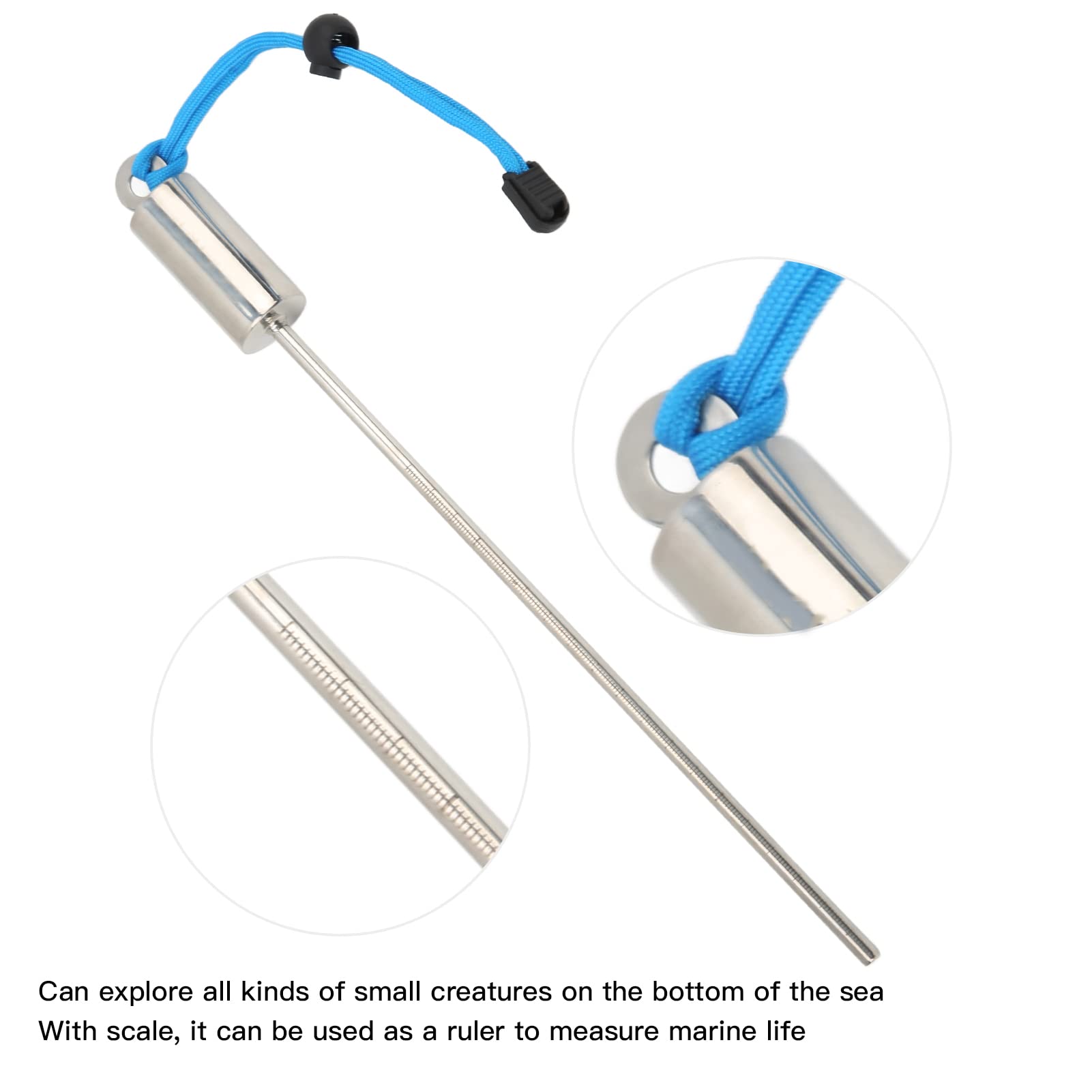 Pointeur De Plongée En Acier Inoxydable Avec Dragonne, Sonde Sous
