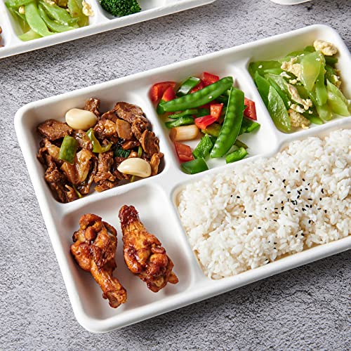 Image of Vplus 100% Compostable 5 Compartment Paper Plates, 100 Pack, 12.5 x 8.6 inch Disposable School Lunch Trays, Eco-Friendly Bagasse Plates for Buffet, and Party