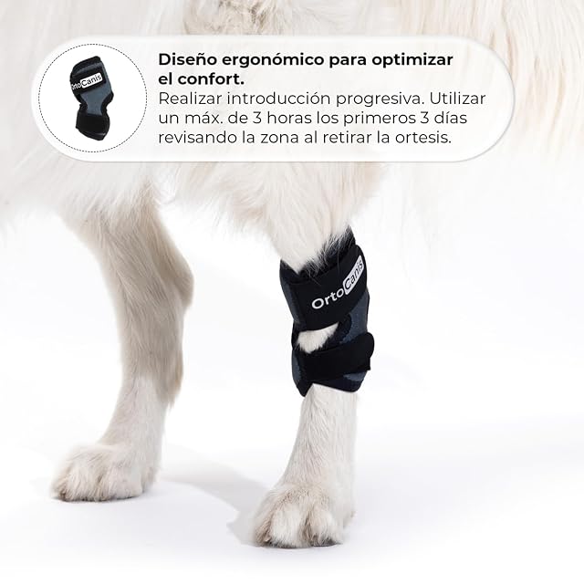Foto 6 de 6 de Ortocanis - Soporte de Tarso para Perro - Artrosis, Lesión de Ligamentos, Inflamación Articular Tendinosa