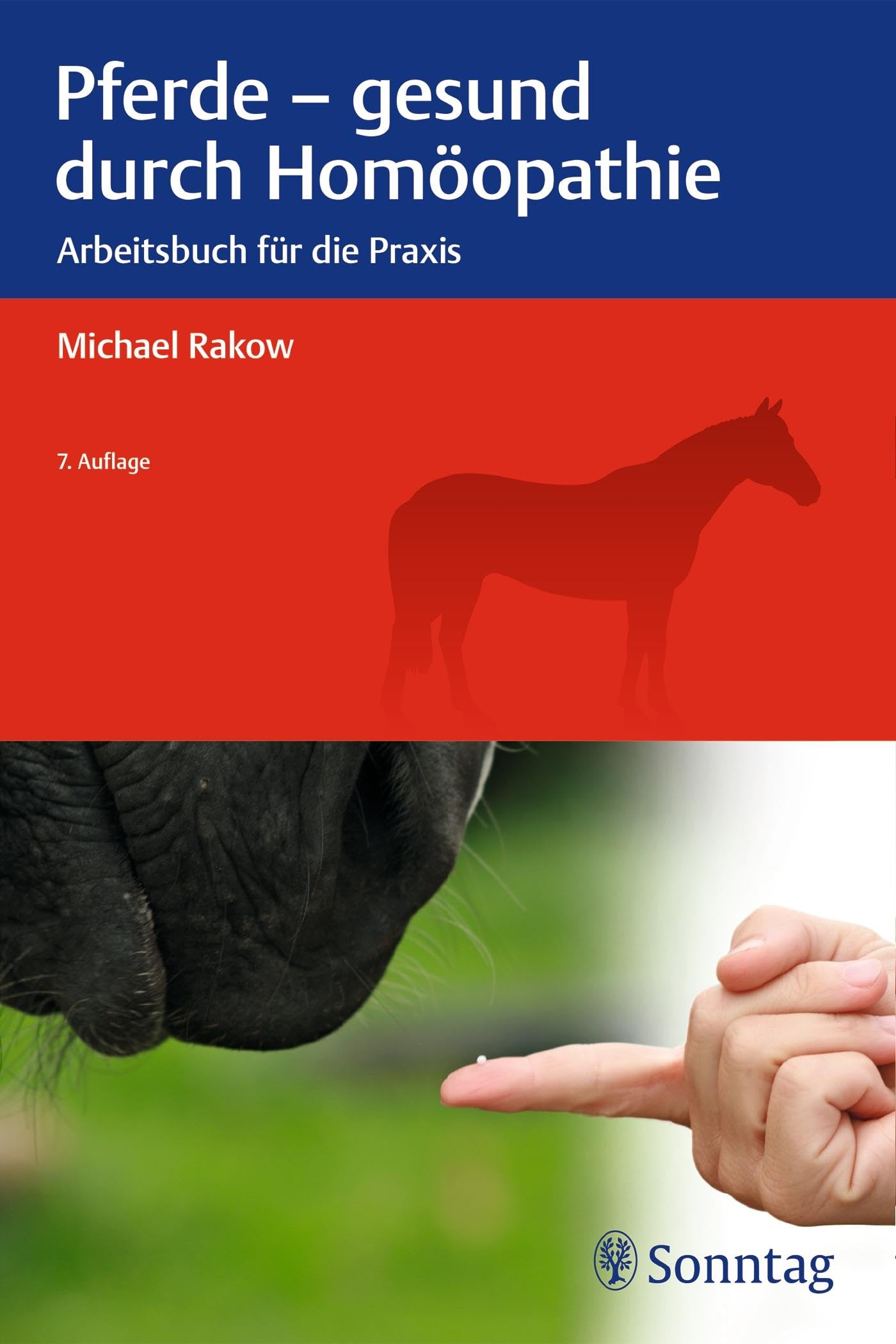 Pferde - gesund durch Homöopathie: Arbeitsbuch für die Praxis