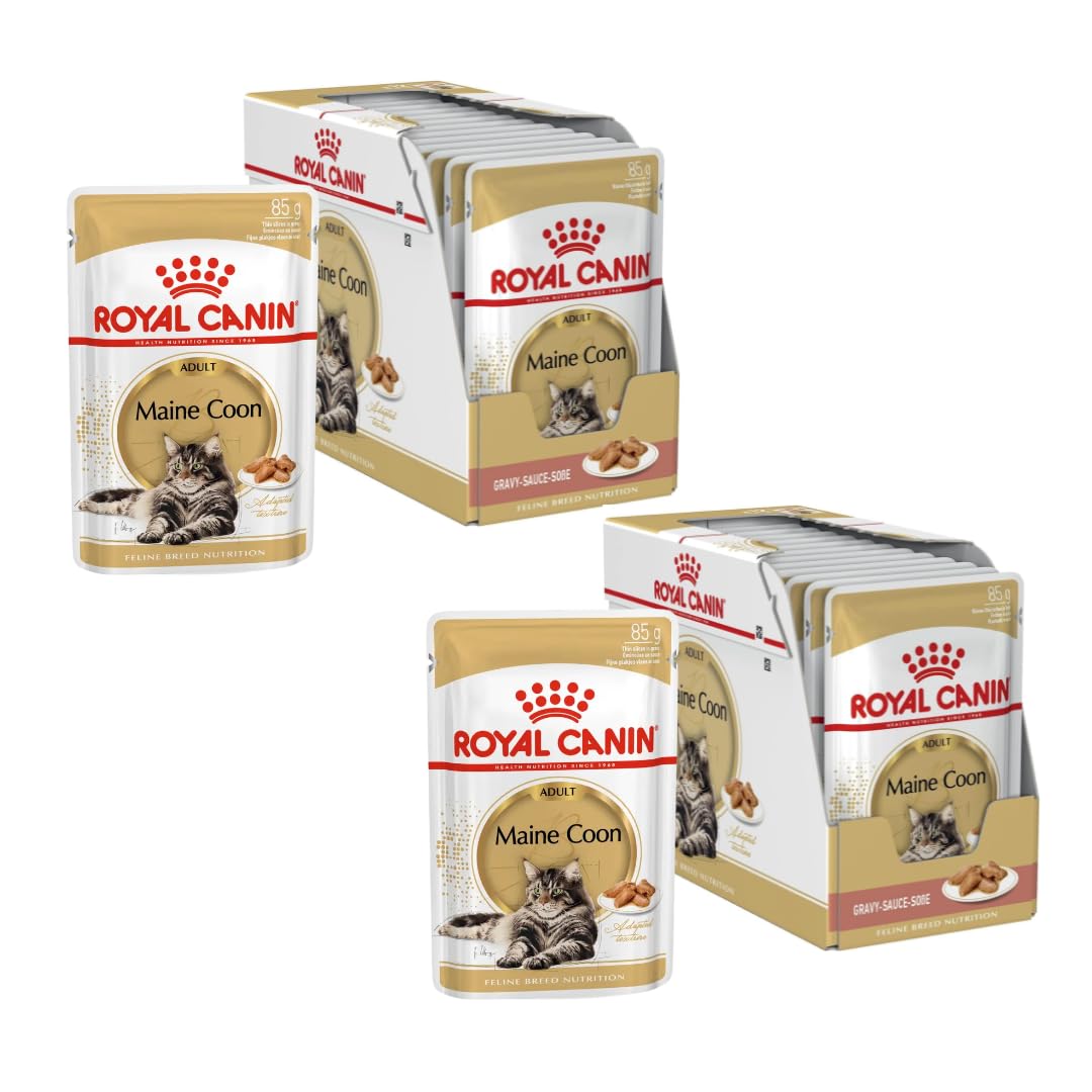Royal Canin Maine Coon Adult | Doppelpack | 2 x 12 x 85 g | Nassfutter  speziell auf die Bedrfnisse von Maine Coon Katzen abgestimmt | In Soe :  Amazon.de: Haustier