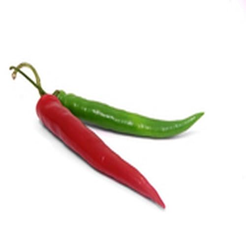 Roasted Butternut Squash - //medicalbooks.filipinodoctors.org