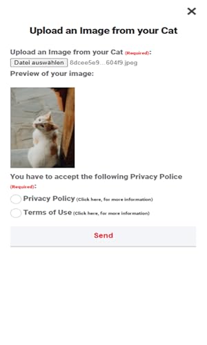 Cat.alogue