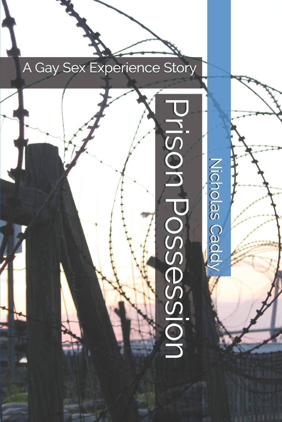 Prison Possession: A Gay Sex Experience Story