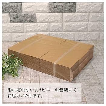 ディボタヒボ60 包 1箱で税込54000を半額の27000円 おかずがつぶれにくい抗菌ふわっとフタ弁当箱 2段/600ml となり