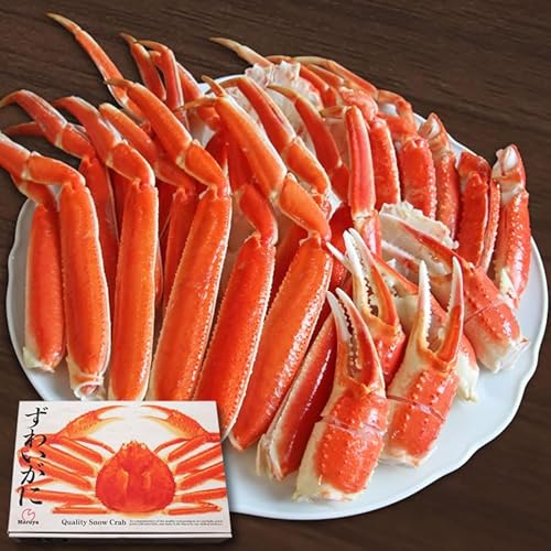 OH!GLE ずわいがに 切れ目入 1kg ギフト箱入 (通常出荷)