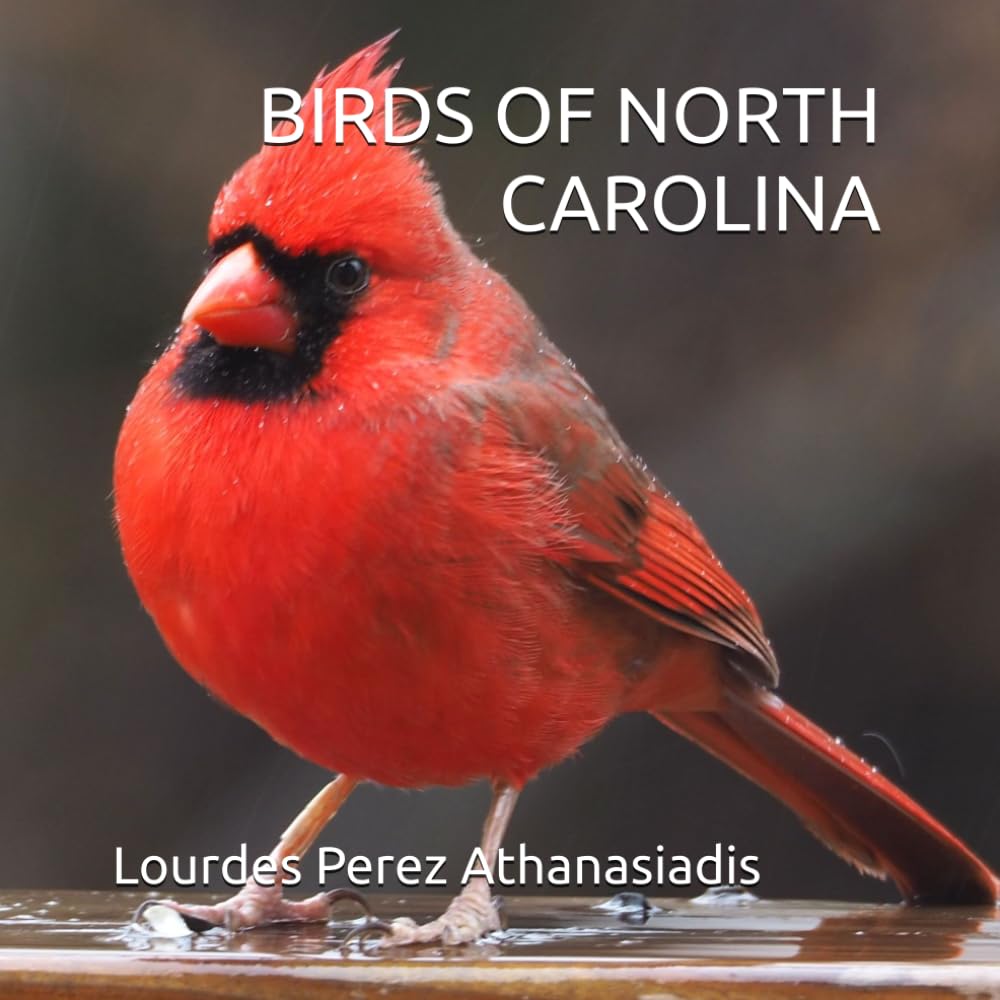 BIRDS OF NORTH CAROLINA