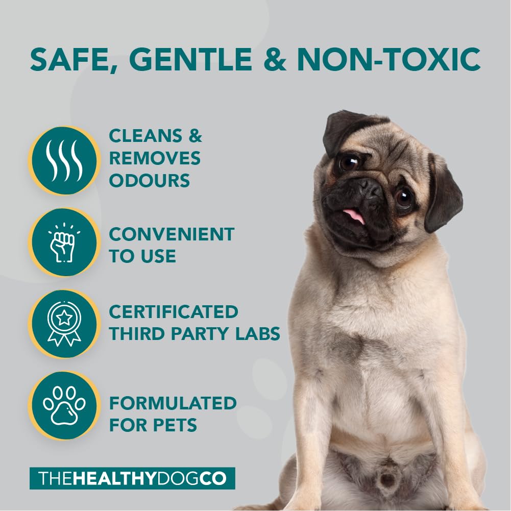 The Healthy Dog Co Eliminador de Manchas y olores de Mascotas Totalmente Natural para Perros y Gatos | Mata gérmenes, Elimina vómitos, orina, heces, Baba, olores | 1 litro