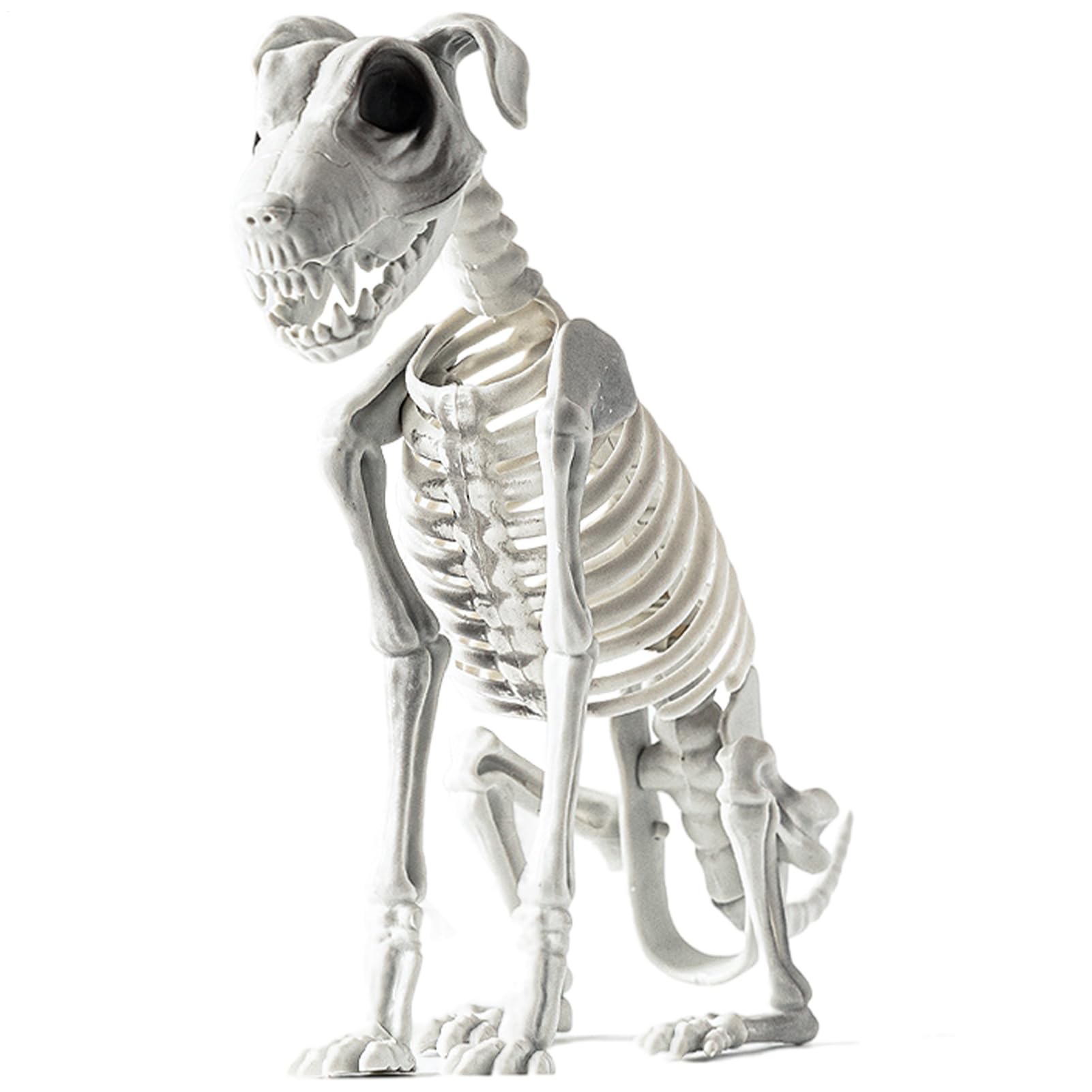 Scheletro cane Halloween spaventoso Halloween cucciolo seduto osso | Accessori spaventosi scheletro cucciolo per camera da letto, soggiorno, ufficio, ingresso, casa infestata, centrotavola