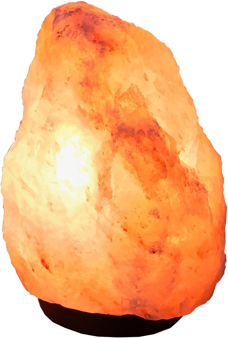 Himalayan Large Salt Lamp 8-10 Lbs - Amazing Plug In Powered Salt Lamps Cleanse the Air and Body Lamps Add Unique Decor to Your Home or Office - Great Long Lasting Replacements to Wick Candles