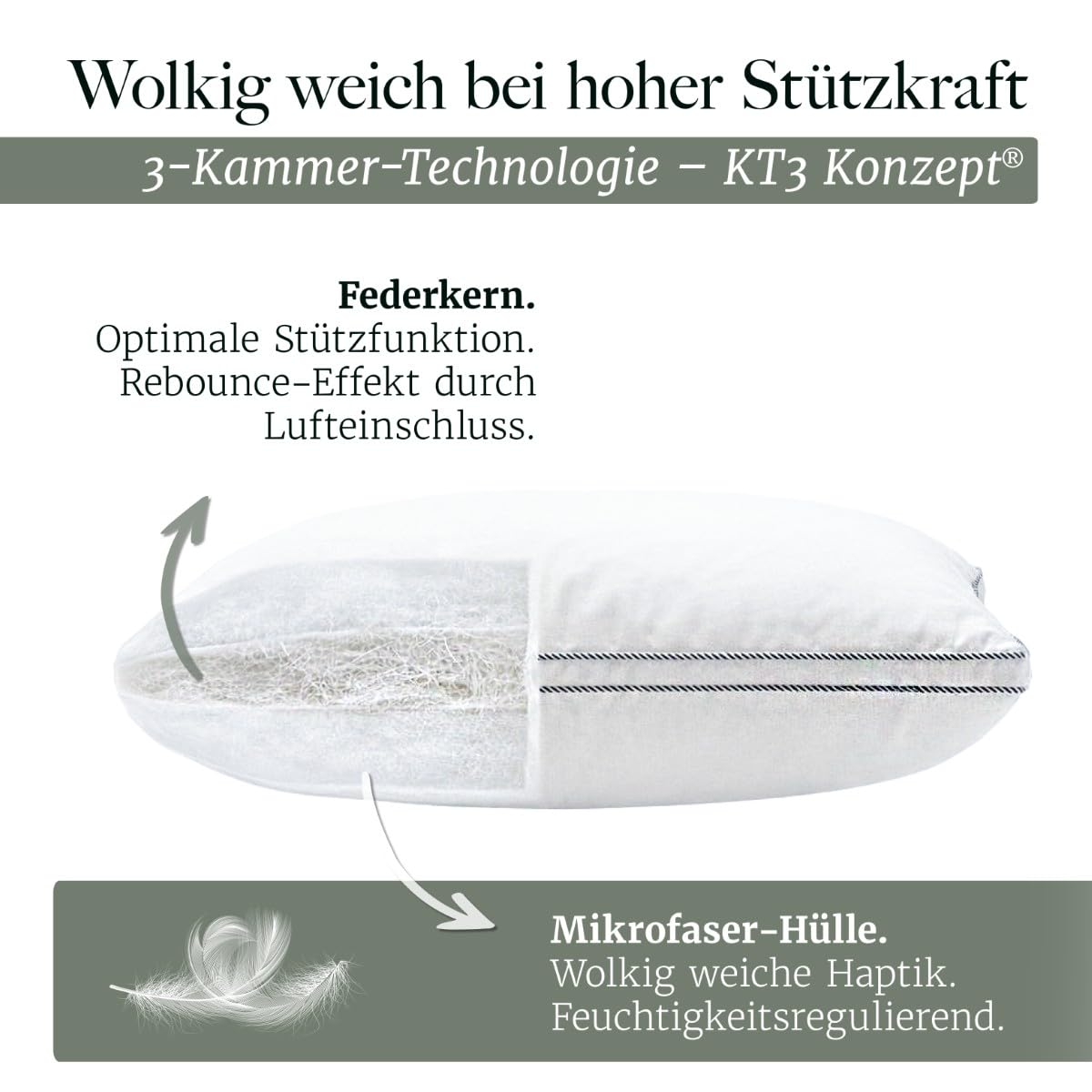 Blumtal Federkissen 80 x 80 cm 2er Set mit 3-Kammer-Füllung - Oeko-TEX zert. Kopfkissen 80x80 2er Set Federfüllung - Ultra stützender Federkern + HCS-Außenkammern - Bauchschläferkissen, Weiß