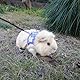 2 Stück Meerschweinchen Leine und Geschirr, verstellbare Anti-Escape-Weste Meerschweinchens Zubehoer,130cm Atmungsaktives Westengeschirr für Ratten, Frettchen,Bartagame(Purple & Red, M)