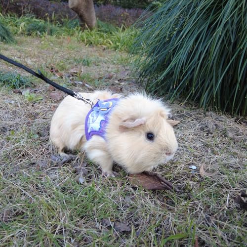 Image of 2 Pack Guinea Pig Harness and Leash, Adjustable Anti-Escape Vest for Guinea Pigs, Rats, Ferrets, Chinchillas,Lizards, Squirrels, Comfortable Harnesses for Outdoor Walking(Purple&Red,M)