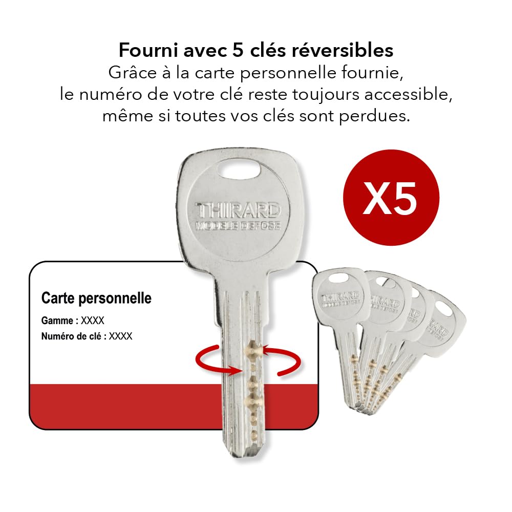 THIRARD Cylindre de serrure Transit 1, Débrayable, 45 x 55 mm, Nickelé | 5 clés réversibles incluses, haute sécurité, finition nickelée, montage facile, compatible porte d'entrée