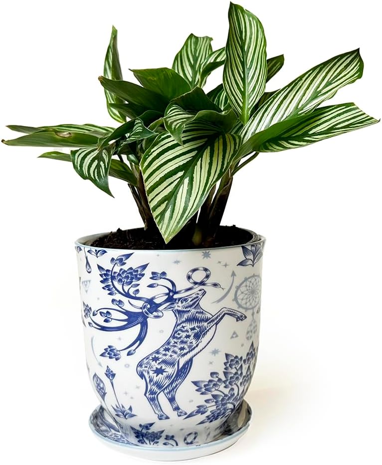 CHIVE 'Liberte' Ceramic Succulent Planters — Cute 4.25 Inch Vintage Style Pots for Indoor Plants — Beautiful Home and Kitchen Décor — Monstera