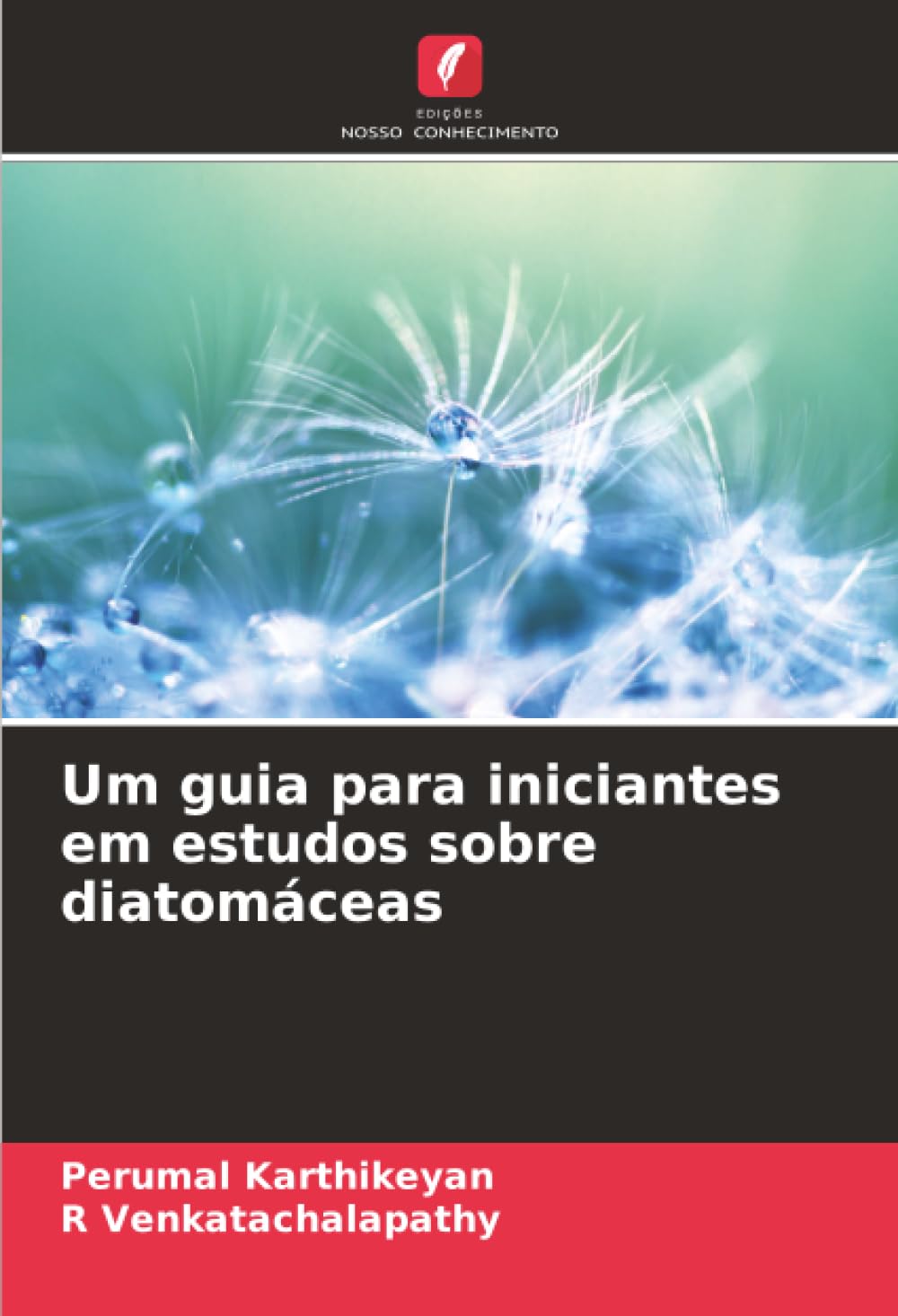 Um guia para iniciantes em estudos sobre diatomáceas