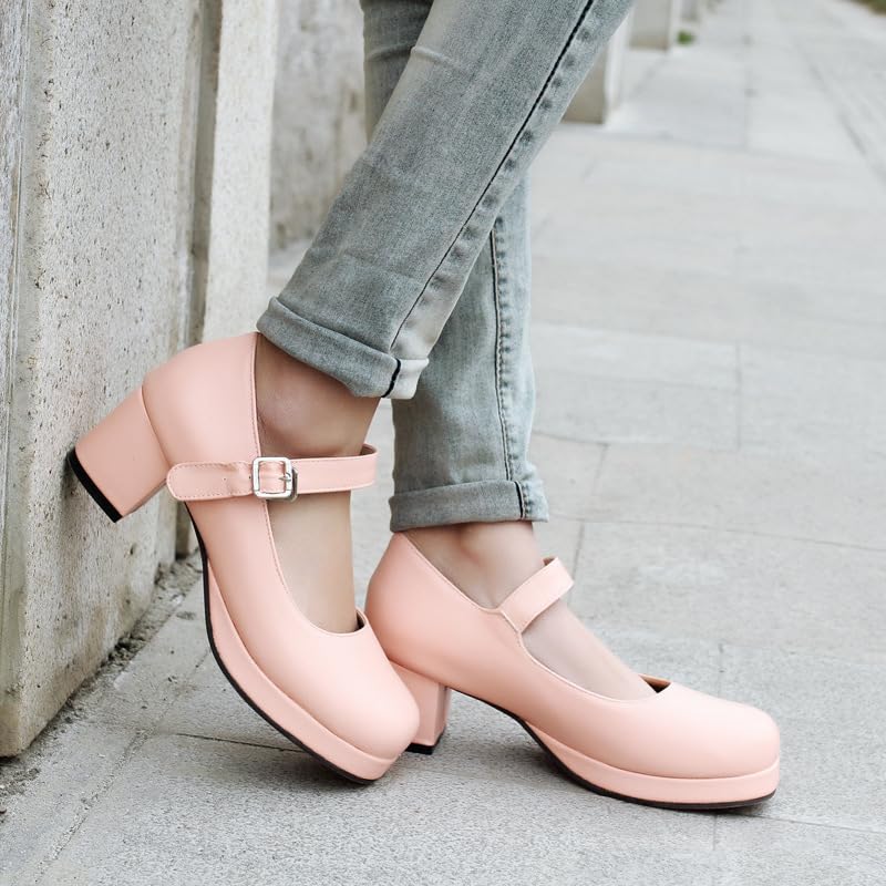 Classic Mary Jane Shoes for Women Round Toe Low Block Heel Leather Buckle Strap Cute Lolita Cosplay Shoes Comfortable Daily Wear Shoes4