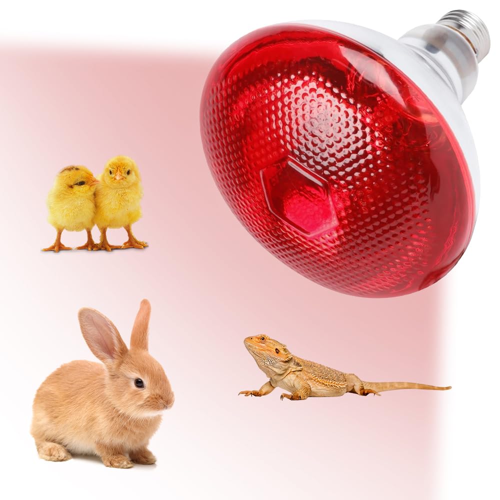 Lampada Riscaldante A Infrarossi 250W - E27, Luce Rossa Per Rettili, Anfibi, Termoterapia | Vetro Resistente Al Calore - Foto 5