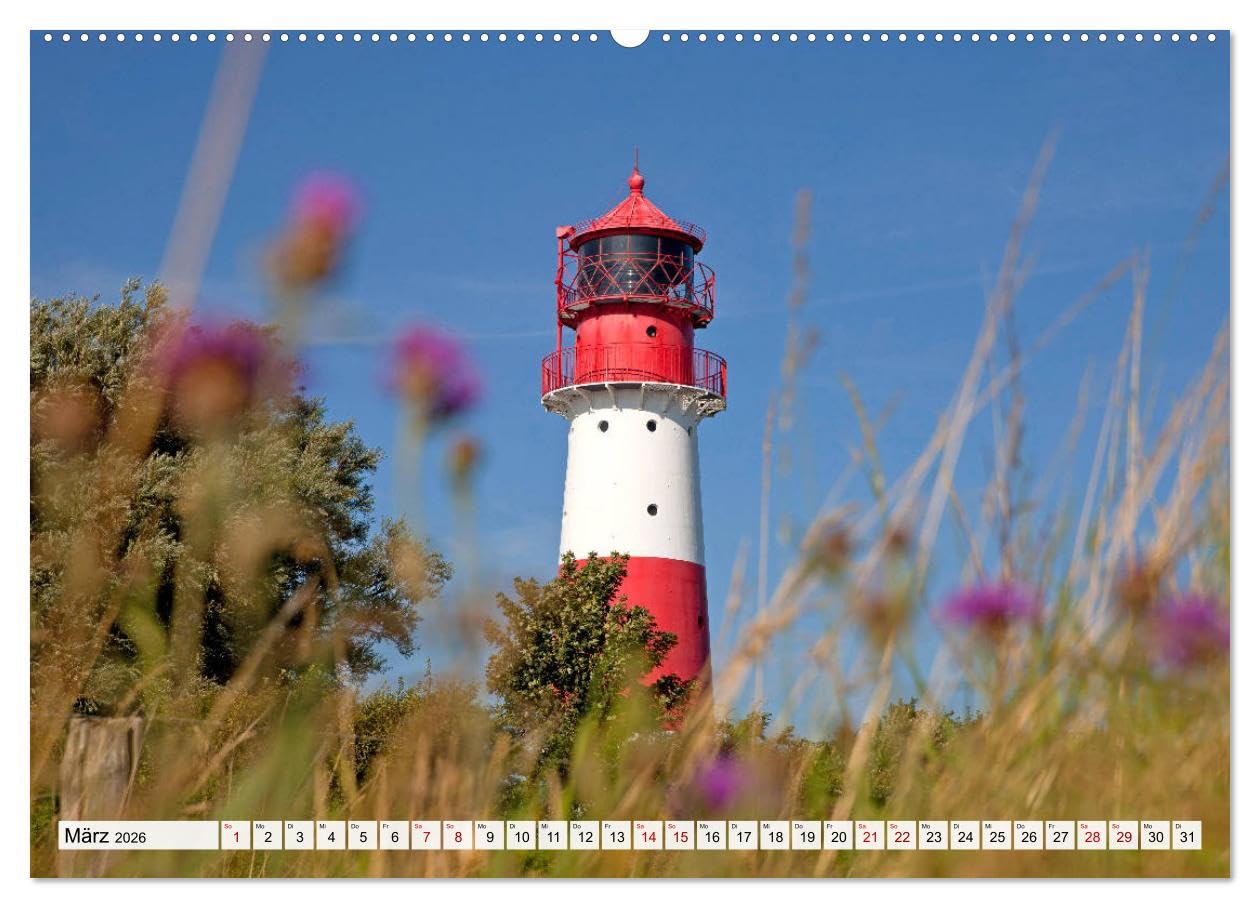 Schleswig-Flensburg (hochwertiger Premium Wandkalender 2026 DIN A2 quer), Kunstdruck in Hochglanz: Der wunderbare Region Schleswig-Flensburg im Norden der Republik. (CALVENDO Orte)