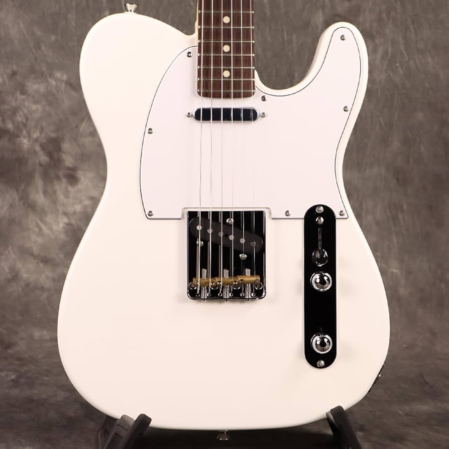 Benさん　専用フジゲン　ギター Benさん 専用フジゲン ギター Benさん 専用フジゲン ギター